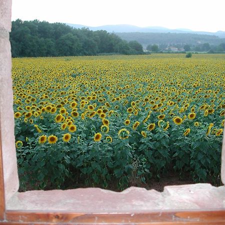 Casale Il Colombaio Di Toiano Guest House Valli ภายนอก รูปภาพ