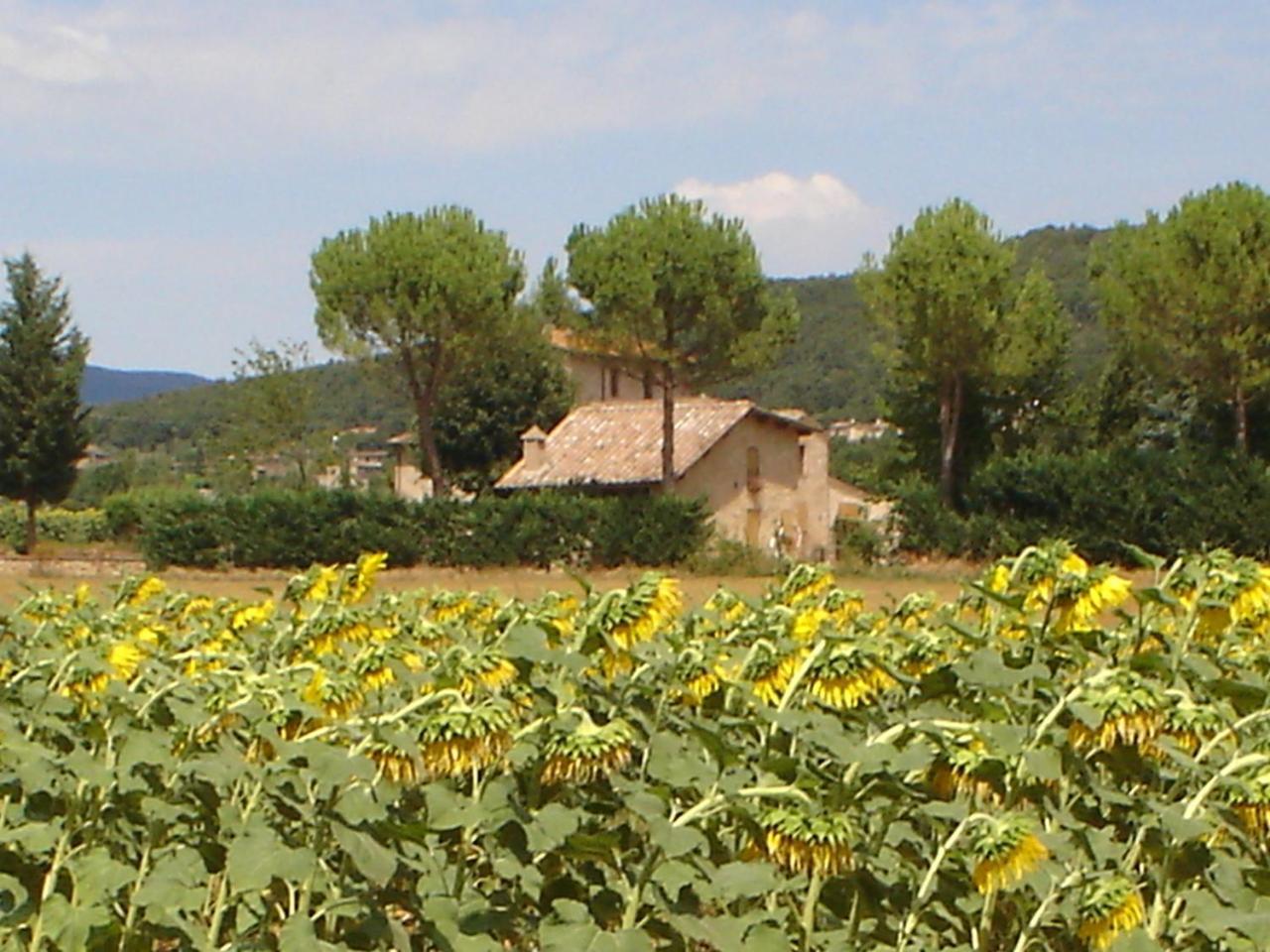 Casale Il Colombaio Di Toiano Guest House Valli ภายนอก รูปภาพ