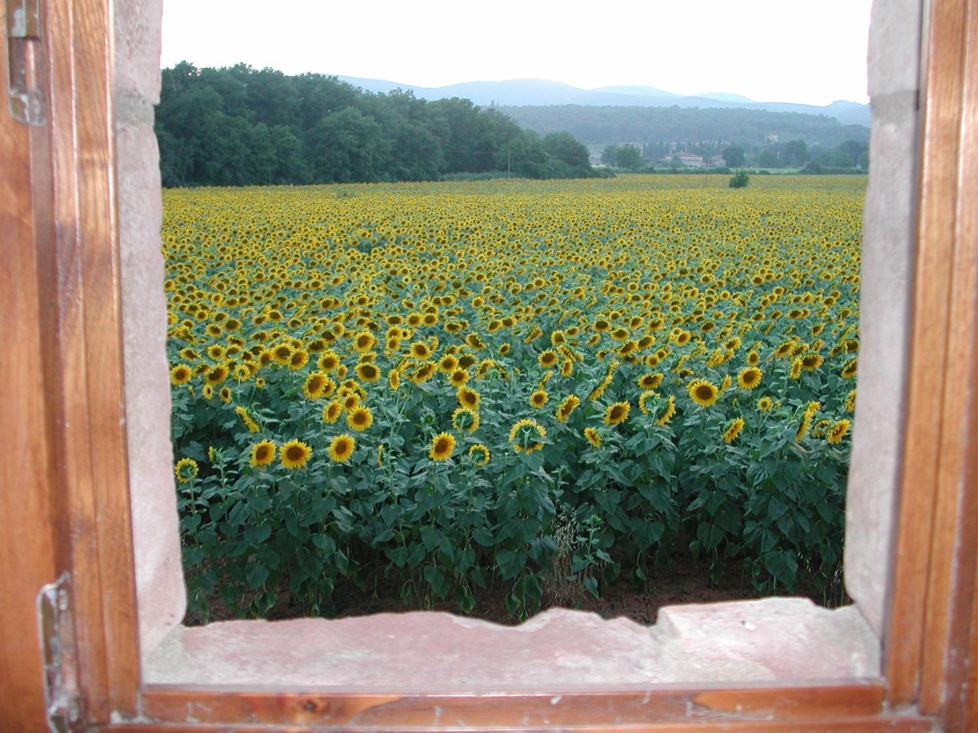 Casale Il Colombaio Di Toiano Guest House Valli ภายนอก รูปภาพ