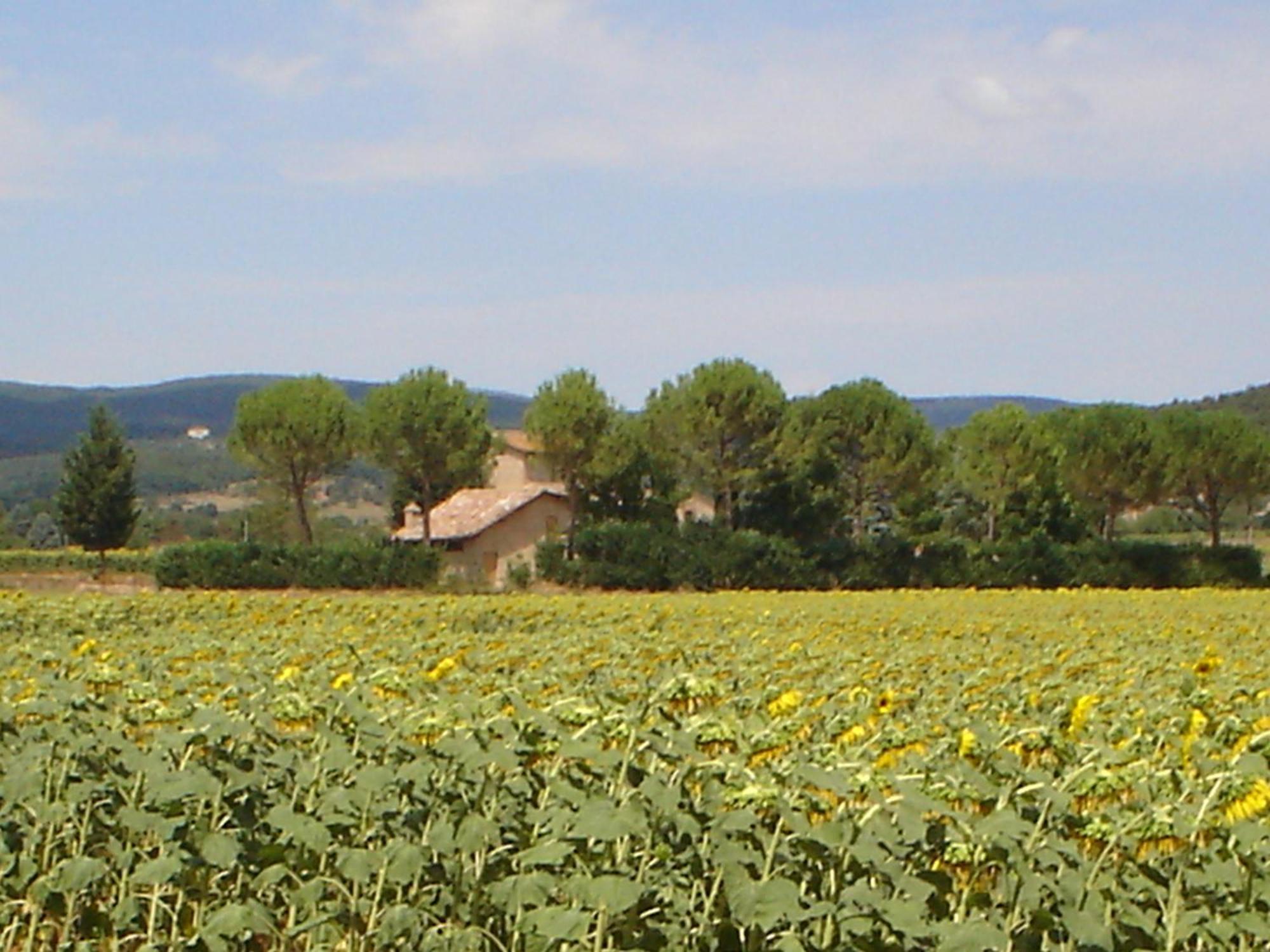 Casale Il Colombaio Di Toiano Guest House Valli ภายนอก รูปภาพ