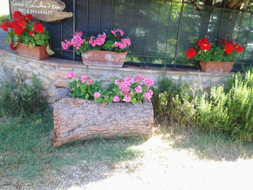 Casale Il Colombaio Di Toiano Guest House Valli ภายนอก รูปภาพ