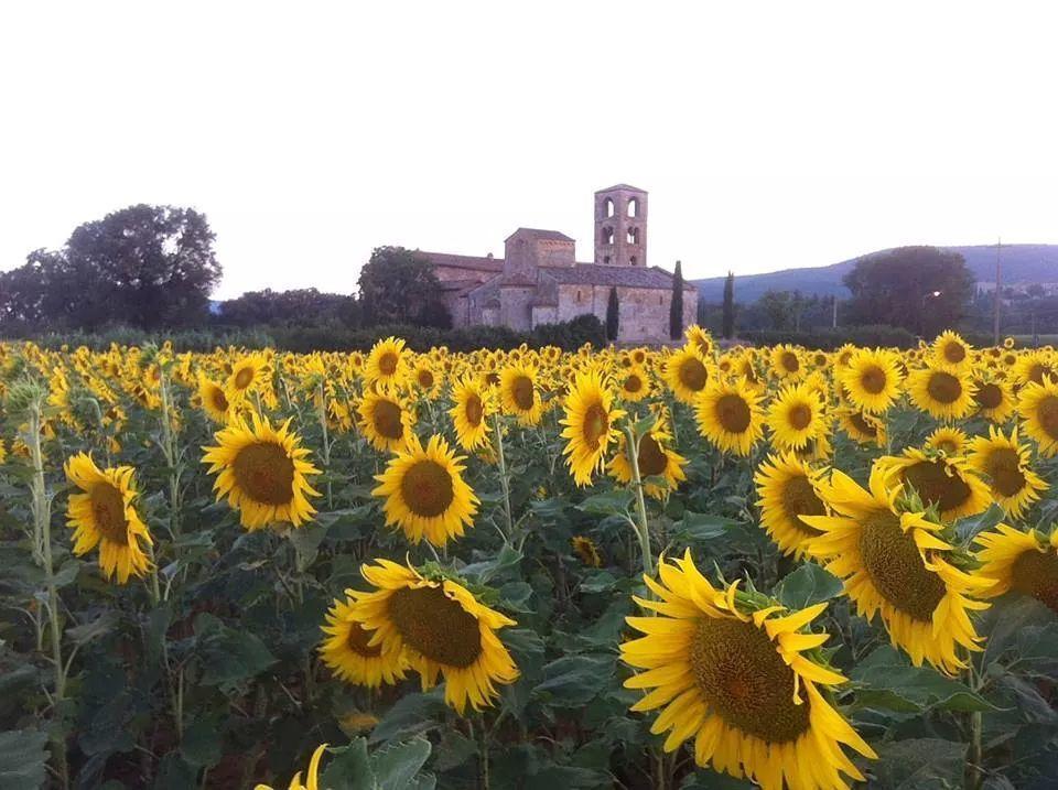 Casale Il Colombaio Di Toiano Guest House Valli ภายนอก รูปภาพ