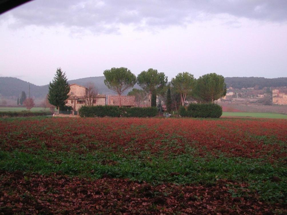 Casale Il Colombaio Di Toiano Guest House Valli ภายนอก รูปภาพ